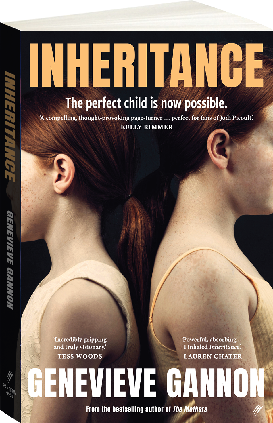 Inheritance Cover Image