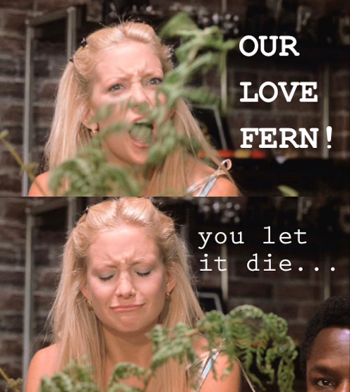 lovefern